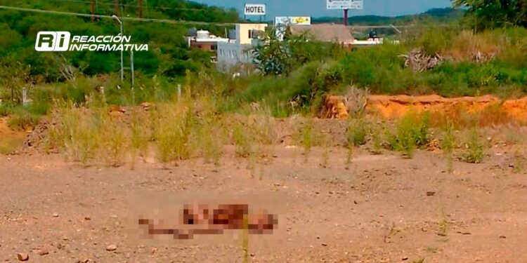 Localizan cuerpo sin vida en lote baldío cerca de la salida norte de Mazatlán