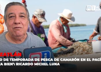 Inicio de temporada de pesca de camarón en el Pacífico ‘pinta bien’: Ricardo Michel Luna