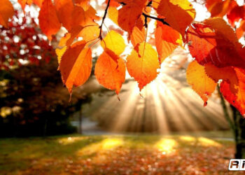 ¿Cuándo empieza otoño en México 2023? Fecha y que ocurre en esta estación