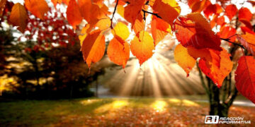 ¿Cuándo empieza otoño en México 2023? Fecha y que ocurre en esta estación