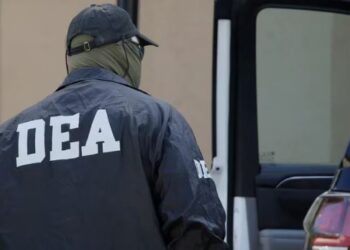 Qué hay detrás de la ejecución de dos informantes de la DEA por Los Chapitos