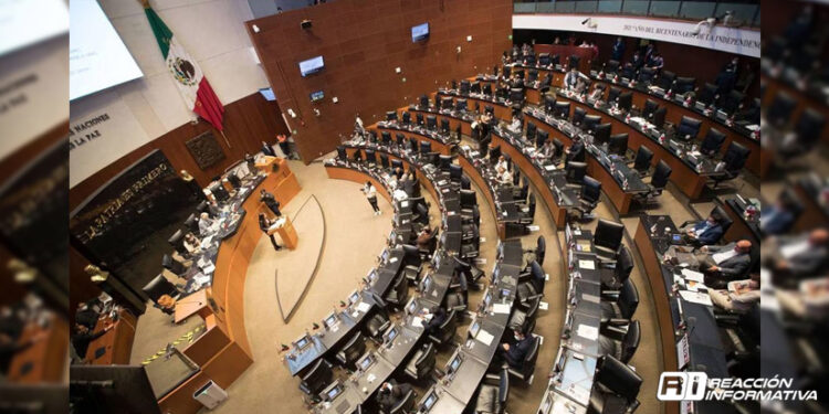 Avala Senado 18 años de cárcel a quien difunda imágenes de cadáveres de mujeres víctimas de violencia