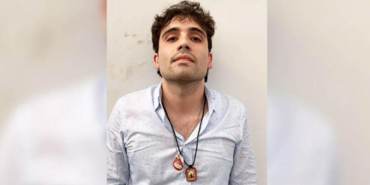 Ovidio Guzmán no buscó ampararse para evitar ser extraditado a EU, afirma AMLO