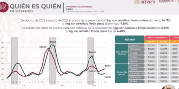 Profeco señala a medios de “escandalizar” con precio del limón; hay una baja, asegura