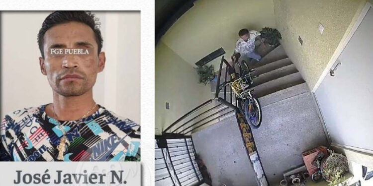Detienen a Javier “N”, el hombre que arrojó a una perrita desde un tercer piso en Puebla
