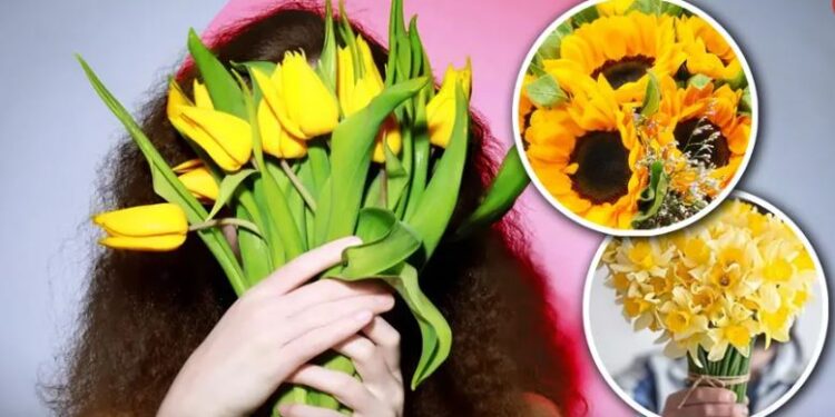 ¿Qué significa dar flores amarillas en septiembre?