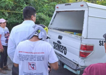 Suman 17 cuerpos exhumados en Parque El Veladero de Acapulco, Guerrero