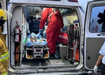 Víbora de cascabel muerde en la mano a un hombre de 35 años en Los Reyes La Paz