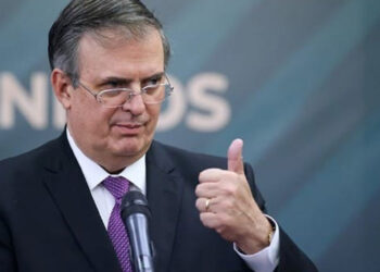 Dante Delgado abre la puerta a que Marcelo Ebrard sea candidato de Movimiento Ciudadano