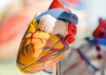 Las enfermedades cardiacas son la mayor causa de muerte en México