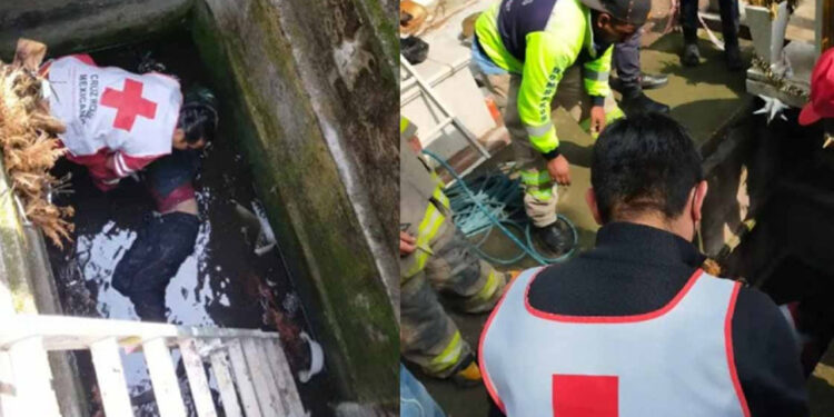 Rescatan a hombre que cayó a una cripta; gritó por más de 10 horas para salvar su vida