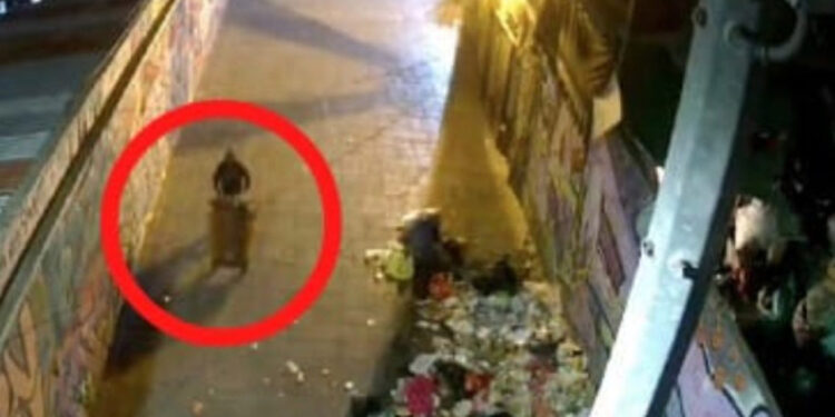 VIDEO: Así abandonaron el cuerpo de un hombre dentro de tambo en CDMX… ¡Lo llevaban en diablito!