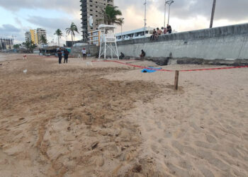 Cobra el mar una vida más en Mazatlán; la víctima un turista de la CDMX