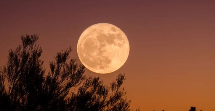 Lluvia de estrellas y Superluna, los eventos astronómicos de septiembre