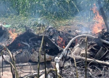 Se desploma helicóptero en maizal del municipio La Higuera, en Tuxpan