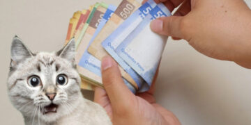 SAT 2023: Trabajadores que no deberán pagar impuestos sobre su aguinaldo