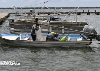 Se prepara gobierno de Rocha Moya para atender a pescadores ante poca captura de camarón