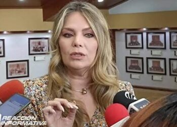 En Sinaloa urge se priorice atención a los menores de edad: Connie Zazueta