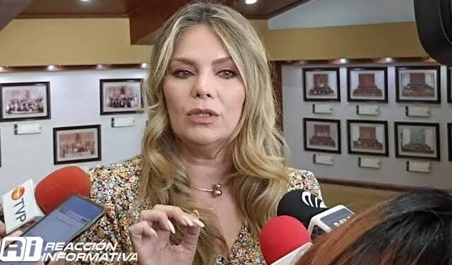 En Sinaloa urge se priorice atención a los menores de edad: Connie Zazueta