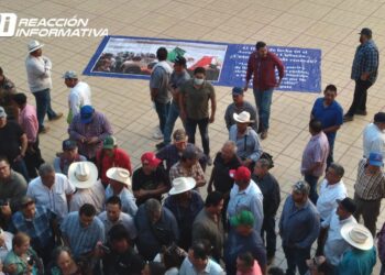Pequeños productores exigen el pago de sus cosechas y se manifiestan en el Palacio de Gobierno