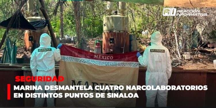 Marina desmantela cuatro narcolaboratorios en distintos puntos de Sinaloa