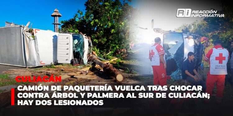 Camión de paquetería vuelca tras chocar contra árbol y palmera al sur de Culiacán; hay dos lesionados