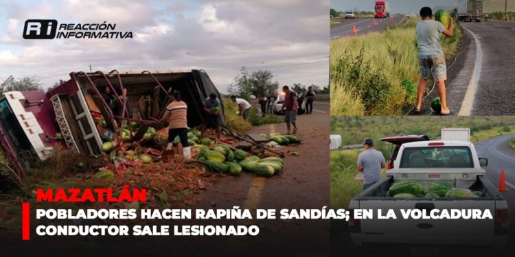 Pobladores hacen rapiña de sandías; en la volcadura conductor sale lesionado