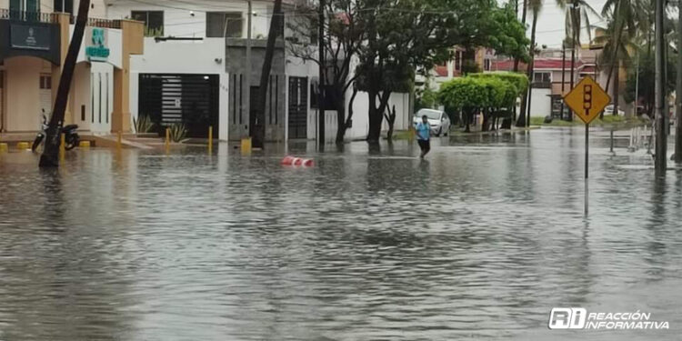 Av. Cruz Lizárraga puede solucionarse con un buen cárcamo: Edgar González