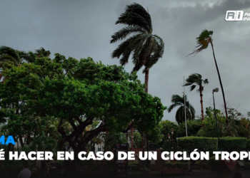 ¿Qué hacer en caso de un ciclón tropical? Aquí todos los detalles