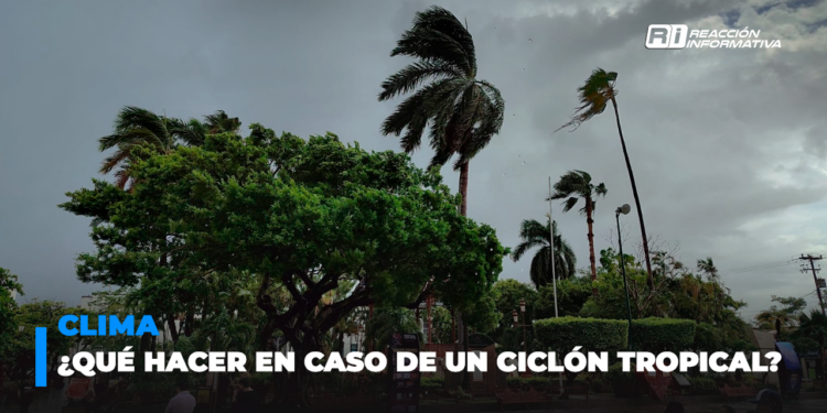¿Qué hacer en caso de un ciclón tropical? Aquí todos los detalles