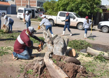 “Al 90% el restablecimiento de los servicios en Los Mochis y todo el Municipio”: Gerardo Vargas