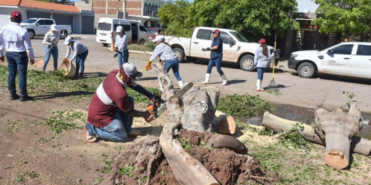 “Al 90% el restablecimiento de los servicios en Los Mochis y todo el Municipio”: Gerardo Vargas