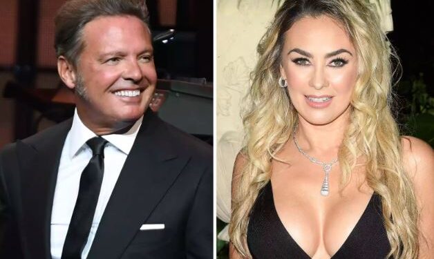 Aracely Arámbula inició proceso legal en contra de Luis Miguel por la manutención de sus hijos