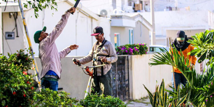 Colonia López Mateos recibe limpieza general de sectores