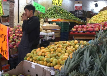 La fructosa sería la responsable de conducir hacia la obesidad, sugiere un estudio