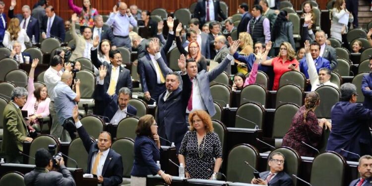 Todos quieren: se anotan 424 diputados para reelegirse en 2024