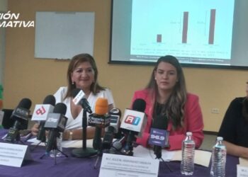 Por violencia psicológicael 48% de las atenciones en CJM: Eglé Hernández Grijalva