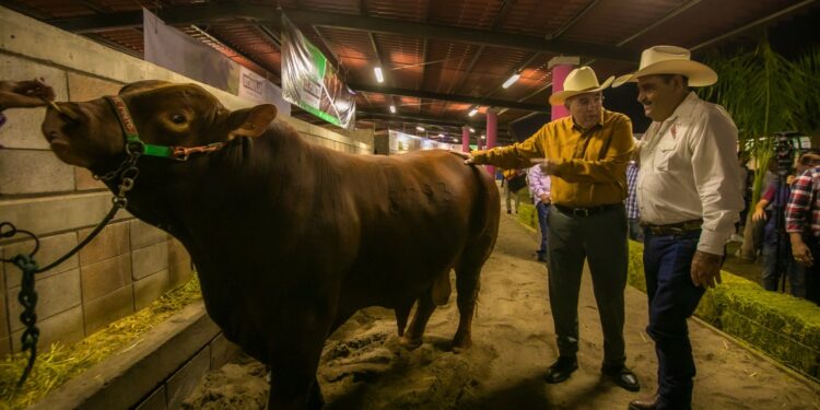 Inaugura Rocha Moya la Expo Ganadera Sinaloa 2023 y reitera su respaldo al sector