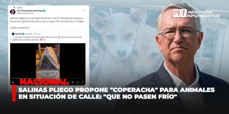 Salinas Pliego propone “coperacha” para animales en situación de calle: “que no pasen frío”