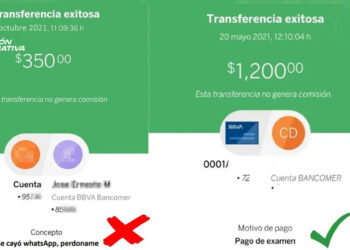 ¿Qué conceptos de pagos se deben evitar al momento de transferir? Aquí te decimos