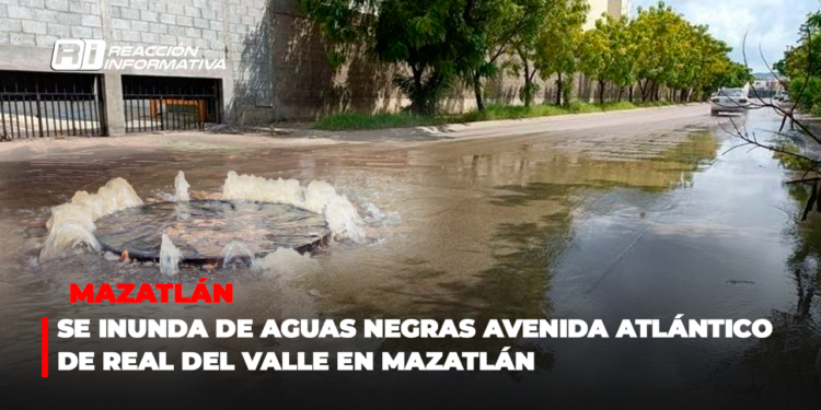Se inunda de aguas negras Avenida Atlántico de Real del Valle en Mazatlán