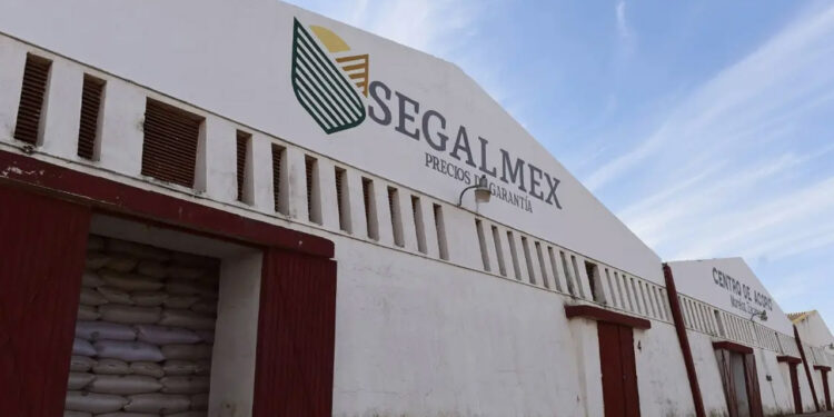 FGR acumula denuncias contra fraude en Segalmex: Diputada