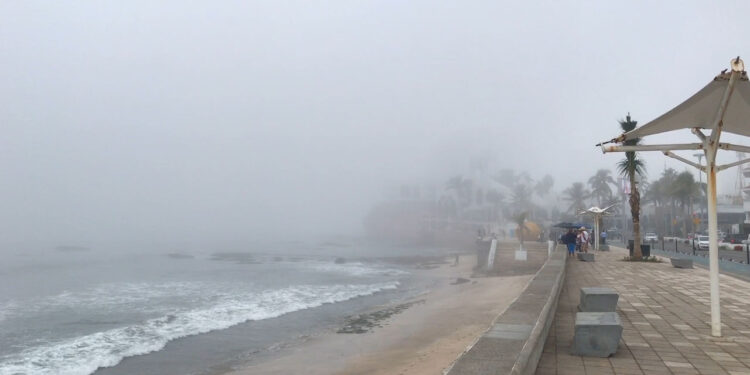 Cielo despejado y temperatura de hasta 29 °C se prevén hoy martes para Mazatlán