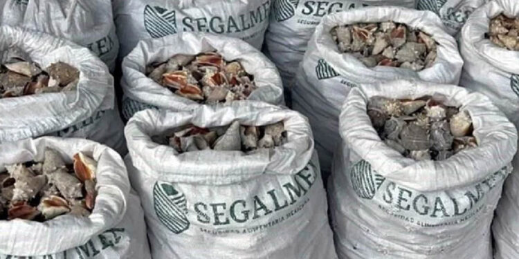 Hong Kong decomisa metanfetamina en costales con logo de Segalmex