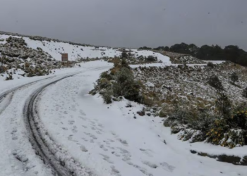 ¿Nieve a la vista? Frente Frío 19 y tormenta invernal pondrán a temblar a estos estados