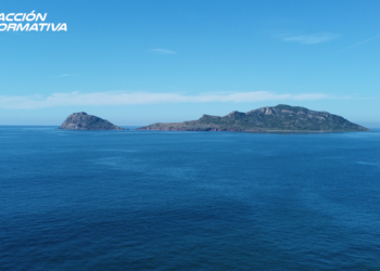 ¿Qué playas son aptas para el turismo durante el periodo vacacional de invierno? Esto dice Cofepris