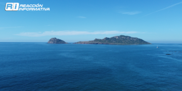 ¿Qué playas son aptas para el turismo durante el periodo vacacional de invierno? Esto dice Cofepris