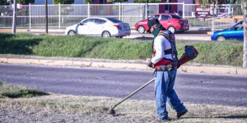 Recibe avenida Carlos Canseco trabajos de embellecimiento