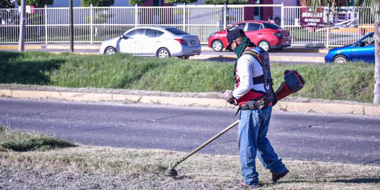 Recibe avenida Carlos Canseco trabajos de embellecimiento
