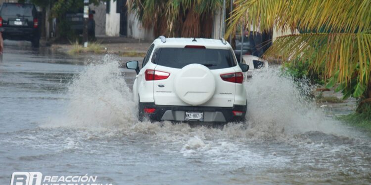 La obra del “Toreo” podría entrar en el presupuesto del 2024 en Mazatlán